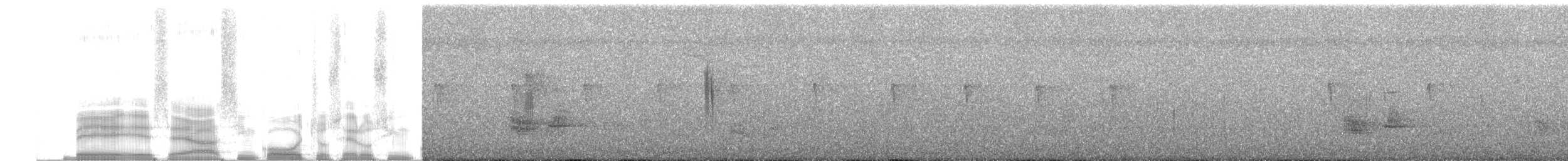 シロオビツバメ - ML255628