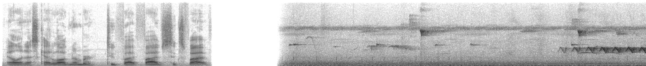 カオジロブユムシクイ（plumbea） - ML25565