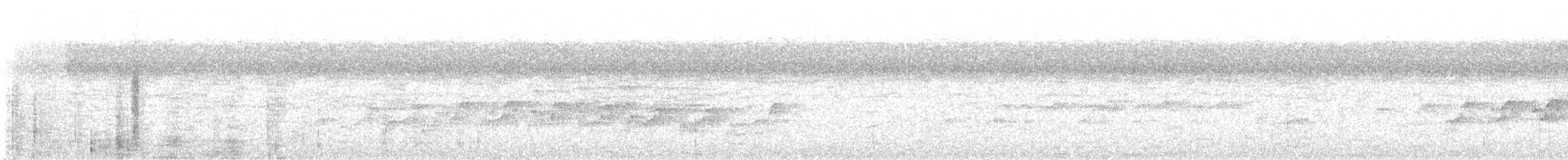 Swallow-tailed Kite - ML255682721