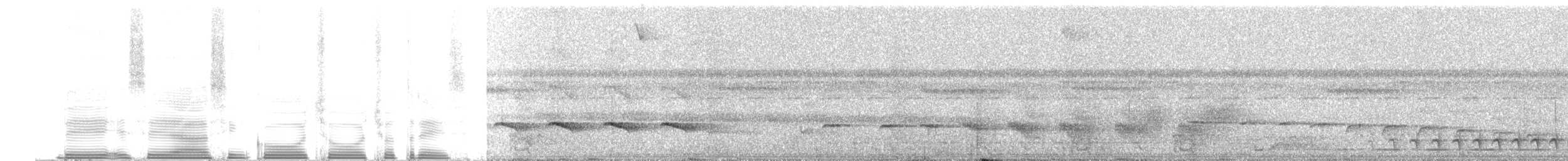 Schwarzscheitel-Ameisenvogel (minor/jensoni) - ML255706