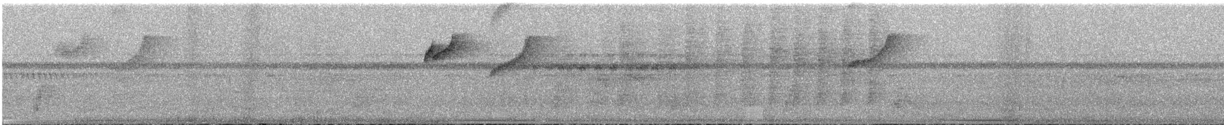 Восточный колибри-отшельник - ML255735941
