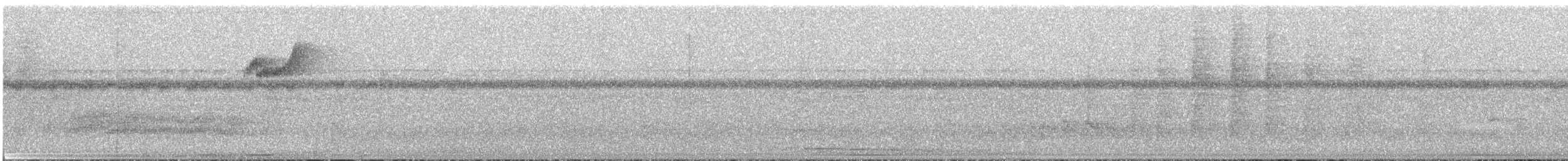 Восточный колибри-отшельник - ML255740921