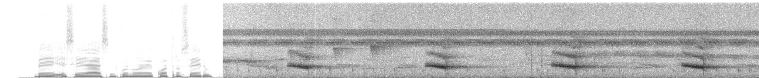 Toucan vitellin (culminatus/pintoi) - ML255762