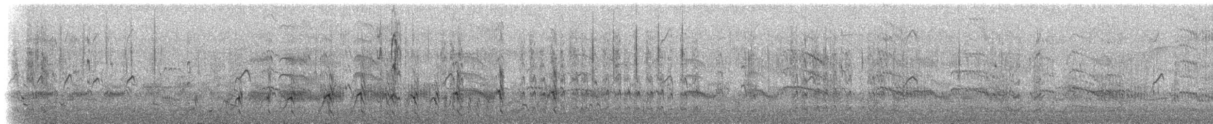 Chorlitejo Semipalmeado - ML255773831