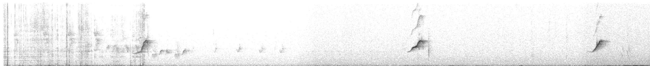Siffleur à bavette blanche - ML255804351