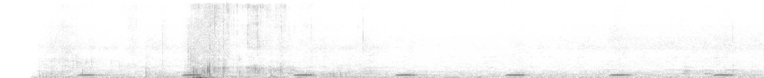 holub pestrokřídlý - ML255837391