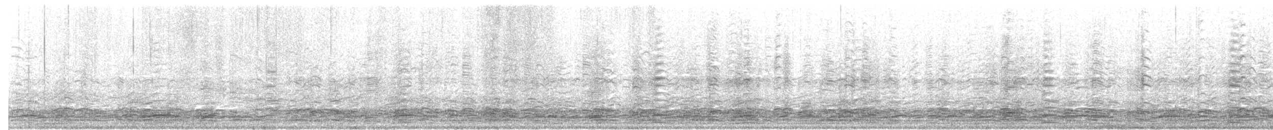 カナダガン（occidentalis／fulva） - ML255884631