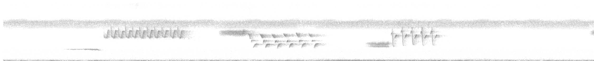 Bachman's Sparrow - ML255894181
