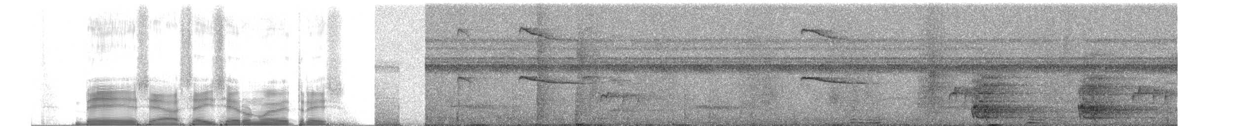 Tamatia brun - ML255915