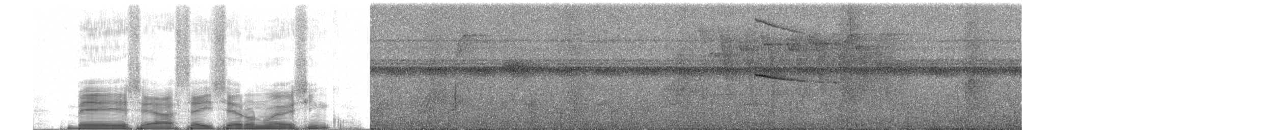 Tamatia brun - ML255917