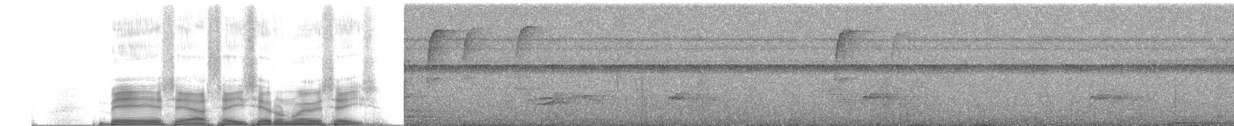 Tamatia brun - ML255918