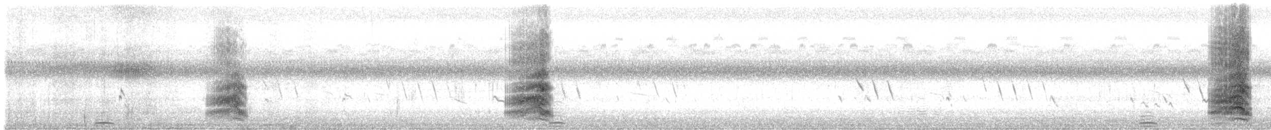 裏海燕鷗 - ML256007161