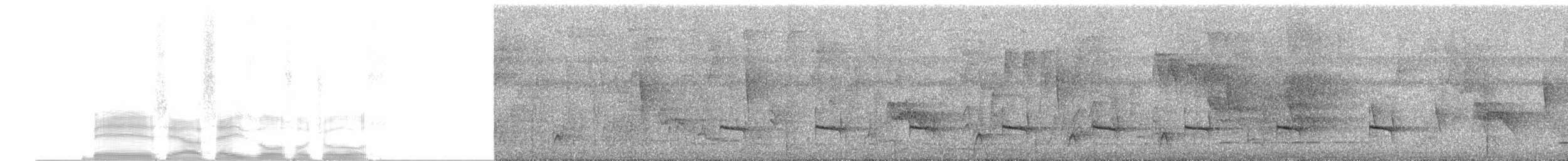 Gelbkehl-Ameisenschlüpfer - ML256104