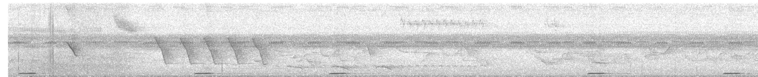 holoubek šedomodrý - ML256122181