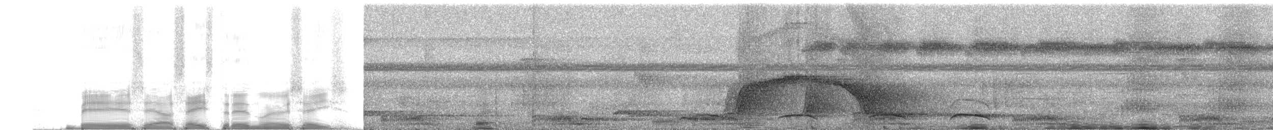 Toucanet de Natterer - ML256218