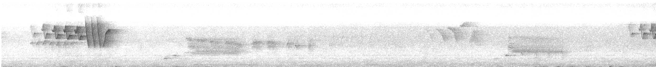 Yellow Warbler (Northern) - ML256242521
