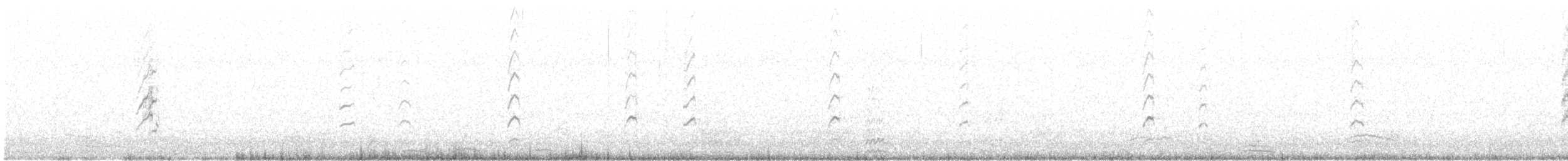 Hudsonian Godwit - ML256248311