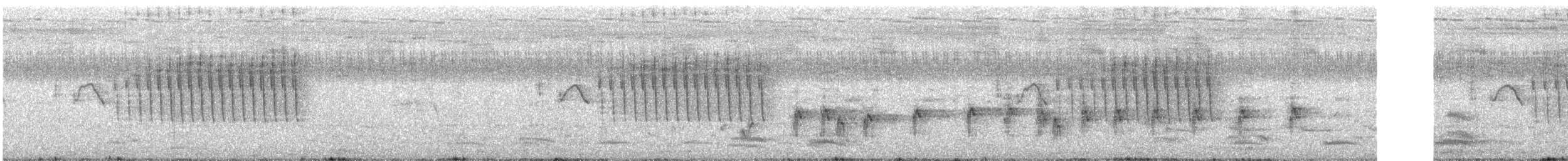 ハイムネハウチワドリ - ML256340651
