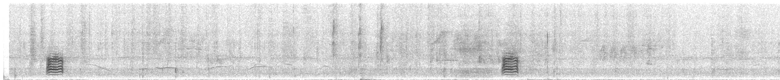 Oriole cul-noir - ML256384121