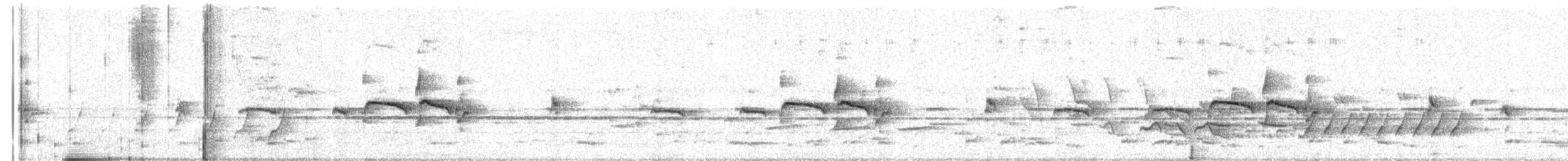 Тиранчик-тонкодзьоб північний - ML256385581