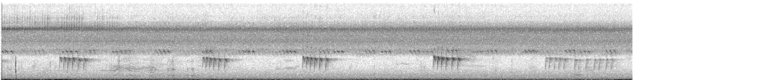Troglodyte de Caroline - ML256435011