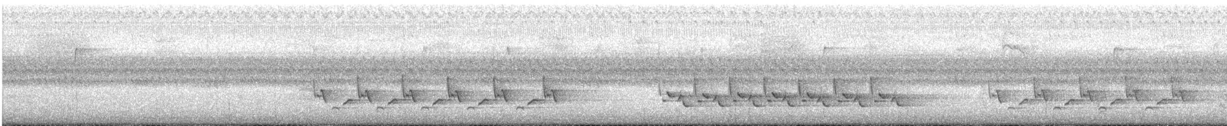 Поплітник каролінський - ML256437551