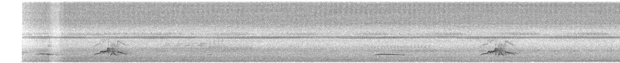 Copetón de Swainson - ML256454981