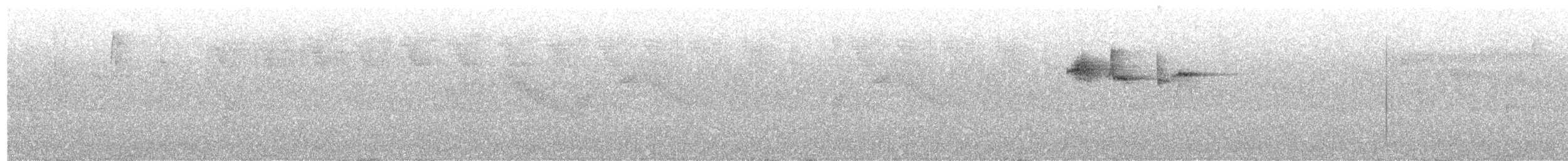 Blue-vented Hummingbird - ML256473711