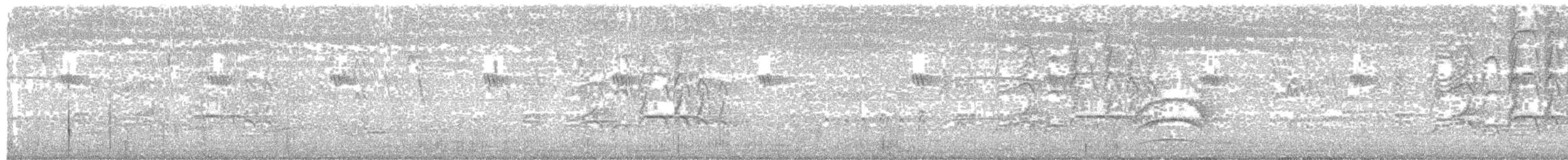 Kara Karınlı Islıkçı Ördek - ML256486371