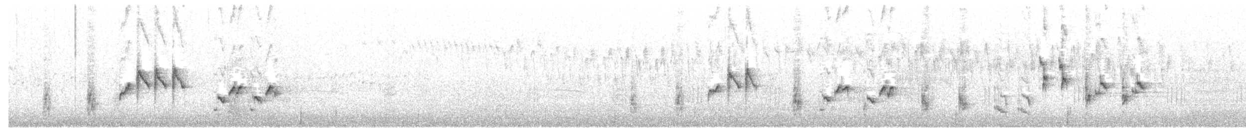 australtrostesanger - ML256502611