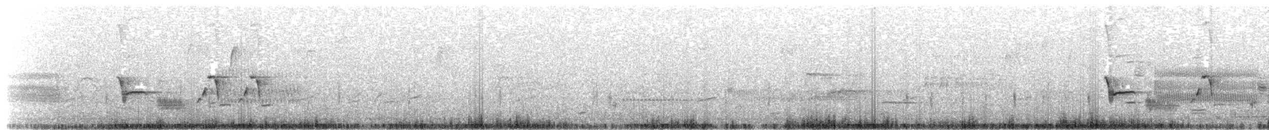 pipilo rudooký - ML25651051