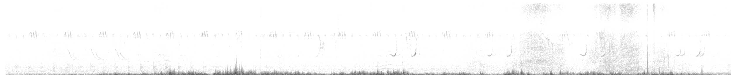 Caille nattée - ML256519581