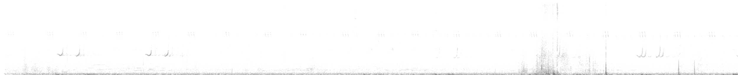 Caille nattée - ML256519761