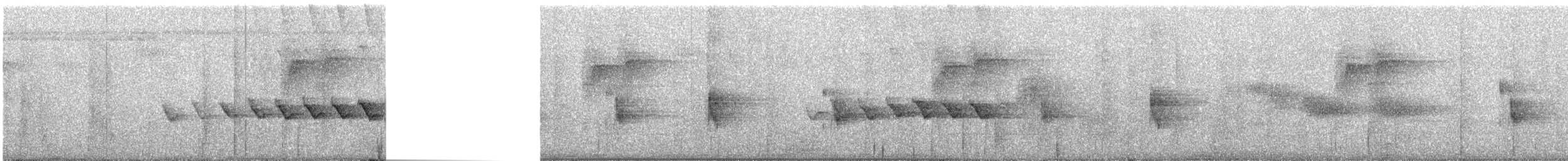 オオヒメコノハドリ - ML256533401