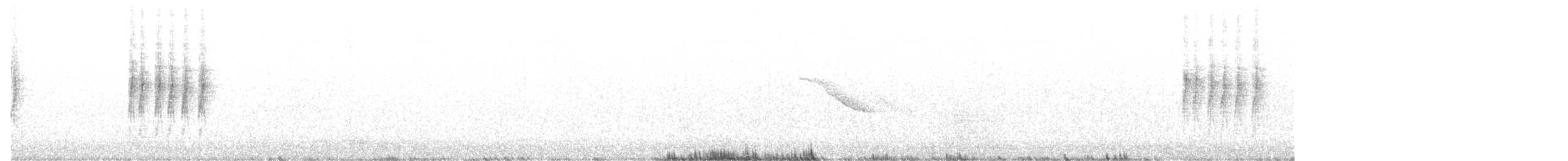 Amerika Baştankarası - ML256560771