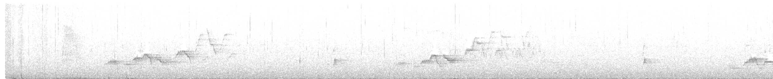 Дрізд-короткодзьоб Cвенсона - ML256577371