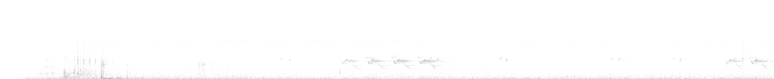 Поплітник каролінський - ML256584061