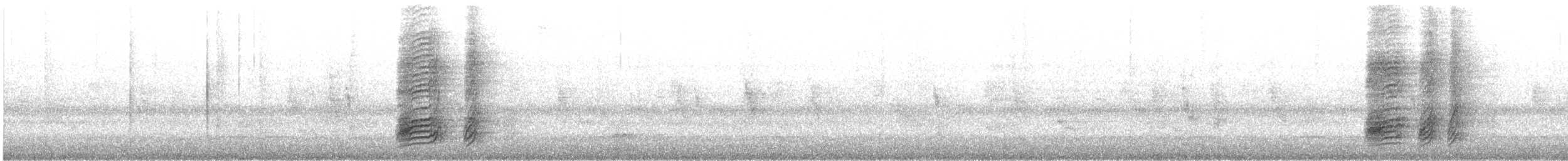 asurskjære (cyanus gr.) - ML256665991