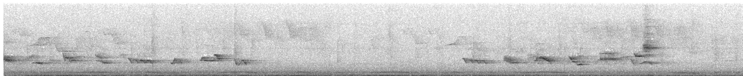 Creamy-bellied Thrush - ML256688321