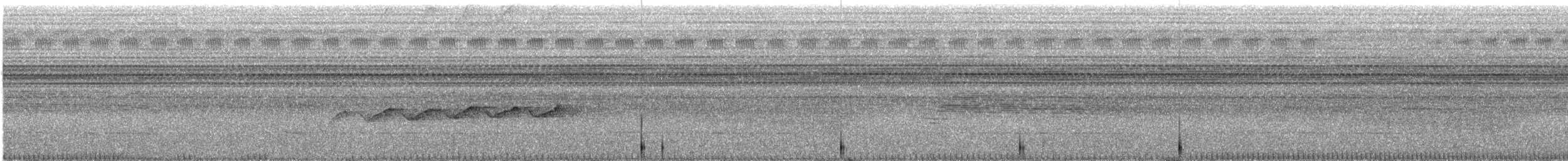 オオヒメコノハドリ - ML256704001