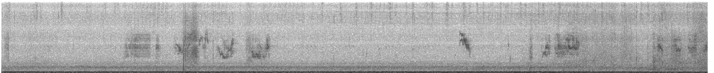 Saltmarsh Sparrow - ML256816671