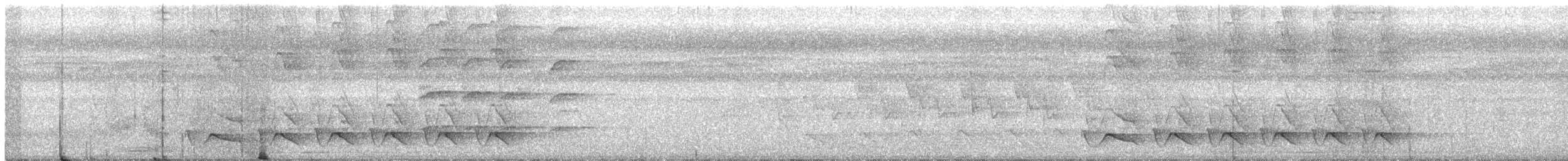 シラオラケットカワセミ - ML256841241