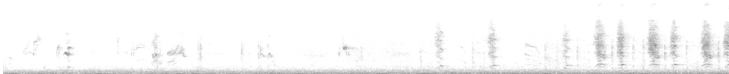 Chara de Steller - ML256901131