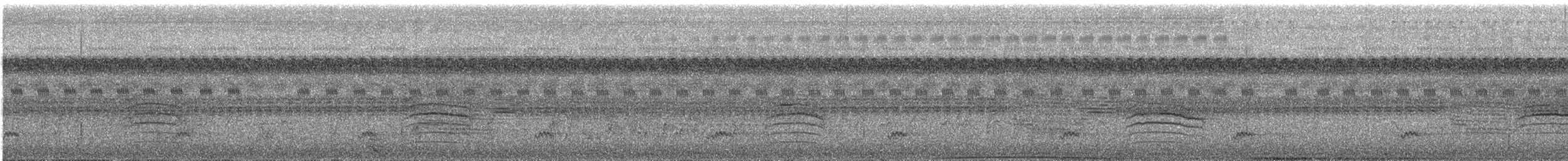 アオハウチワドリ（flaviventris グループ） - ML256951281