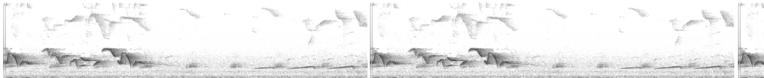 Rufous-breasted Wren - ML256955521