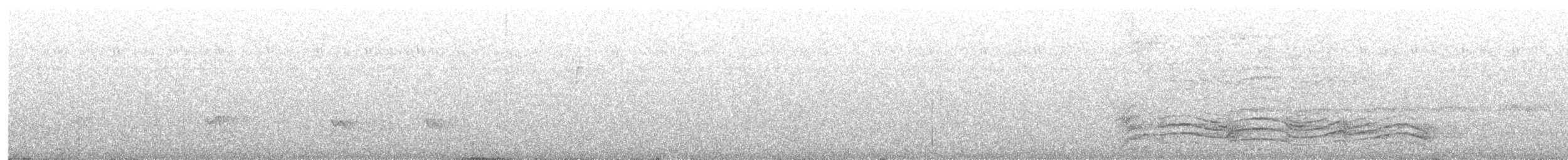 Kara Kulaklı Kedikuşu - ML257054121
