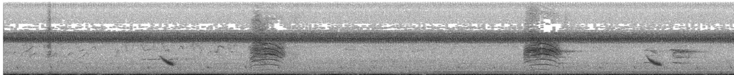 Дрізд-короткодзьоб бурий - ML257089521