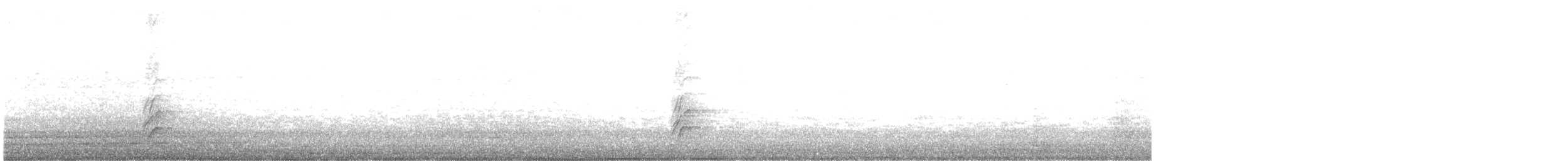 Magellandrossel - ML257099701