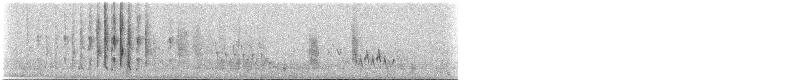 Сияющий колибри-капуцин - ML257213601