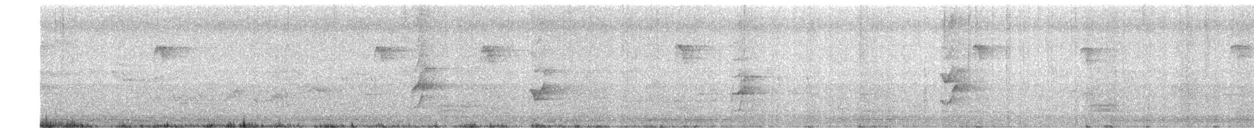 Plum-headed Parakeet - ML257335311